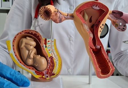 Medline Academics Showcases Global Impact In Fertility Education